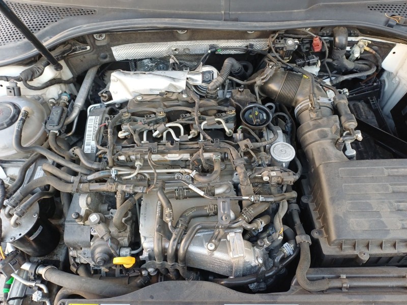 volkswagen golf vii (5g1, bq1, be1, be2) del año 2017