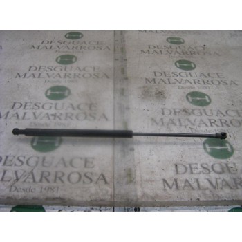 AMORTIGUADORES MALETERO / PORTON 