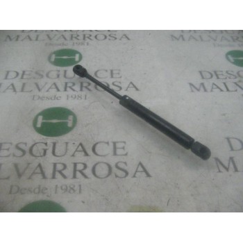 AMORTIGUADORES MALETERO / PORTON 