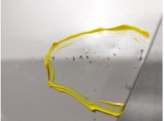 Recambio de puerta trasera izquierda para toyota corolla hatchback (_e21_, _ea1_, _eh1_) 1.8 hybrid (zwe211) referencia OEM IAM  2