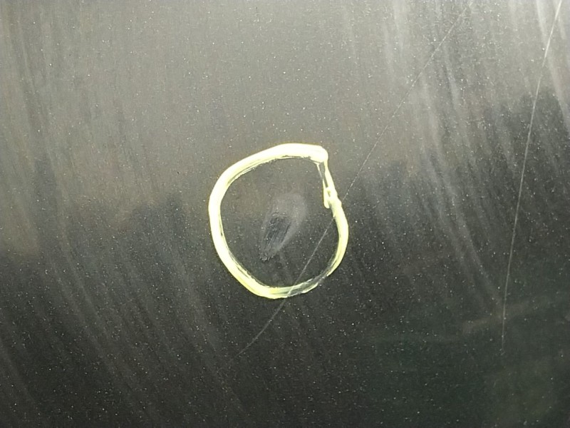 Recambio de capot delantero para bmw 6 (e63) 630 i referencia OEM IAM   