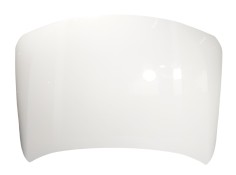 Recambio de capot delantero para bmw x2 (f39) xdrive 20 i referencia OEM IAM 41007484213  