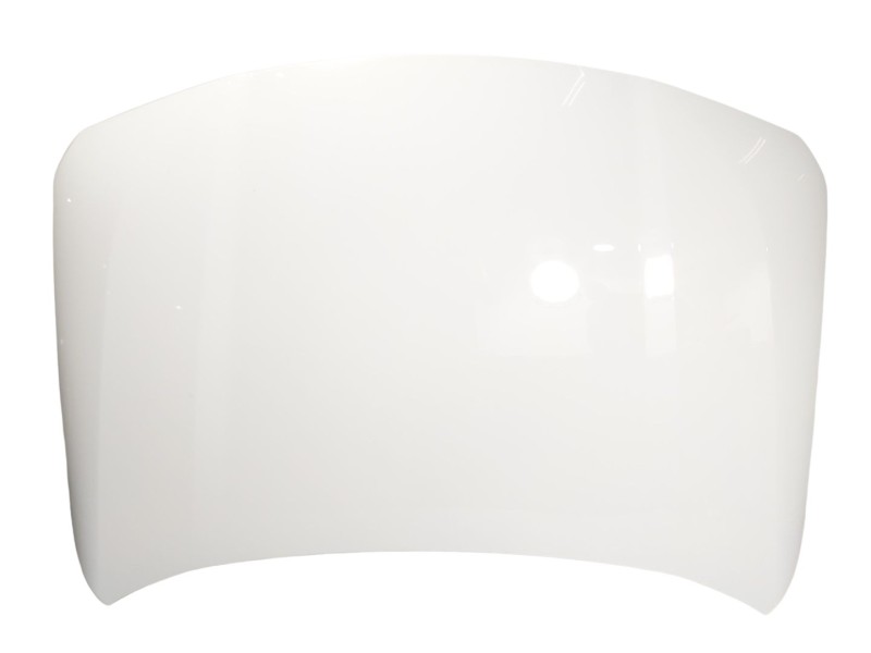 Recambio de capot delantero para bmw x2 (f39) xdrive 20 i referencia OEM IAM 41007484213  