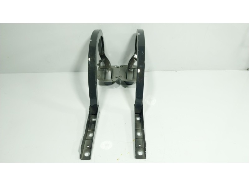 Recambio de bisagra para bmw 8 coupé (g15, f92) 840 d xdrive referencia OEM IAM  7417258 