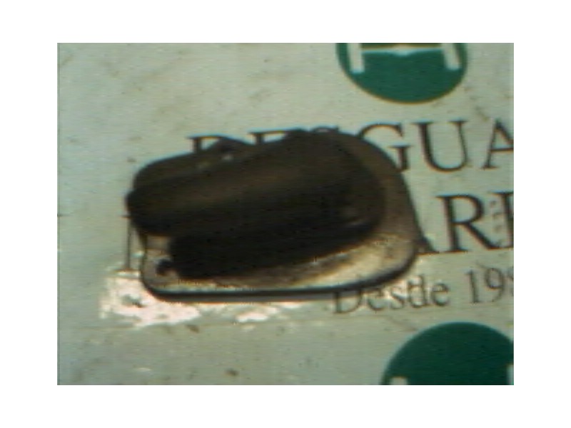 Recambio de maneta interior delantera derecha para opel corsa b sport referencia OEM IAM   