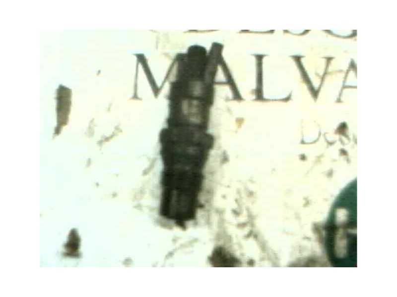 Recambio de inyector para fiat fiorino (255) referencia OEM IAM   