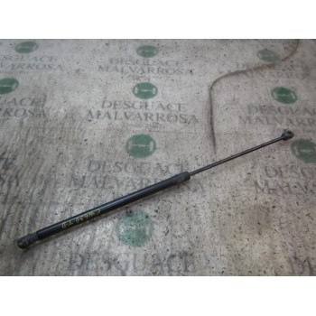 AMORTIGUADORES MALETERO / PORTON 