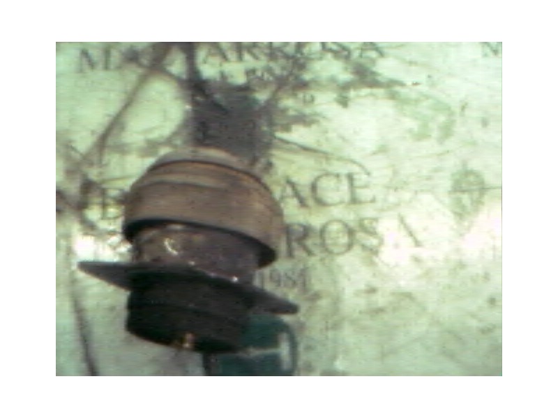 Recambio de soporte motor para seat ibiza (6k) 1.9 diesel cat (1y) referencia OEM IAM   