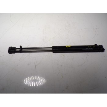 AMORTIGUADOR CAPOT BKK780010 