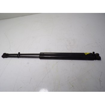 AMORTIGUADORES MALETERO / PORTON BHE780012 01612112C480N 