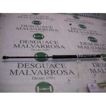 AMORTIGUADORES MALETERO / PORTON 