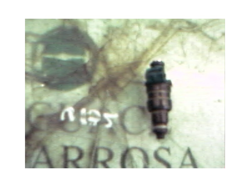 Recambio de inyector para renault clio ii fase i (b/cbo) 1.4 alize referencia OEM IAM   