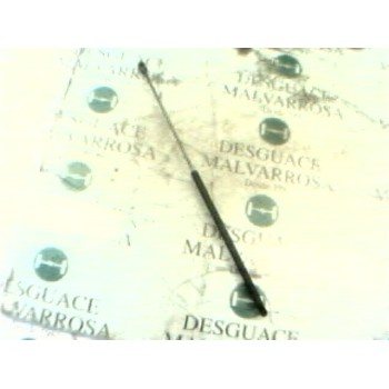 AMORTIGUADORES MALETERO / PORTON 