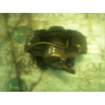 PINZA FRENO DELANTERA DERECHA 