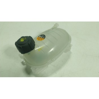 DEPOSITO EXPANSION 2171100Q0C 217102572R 