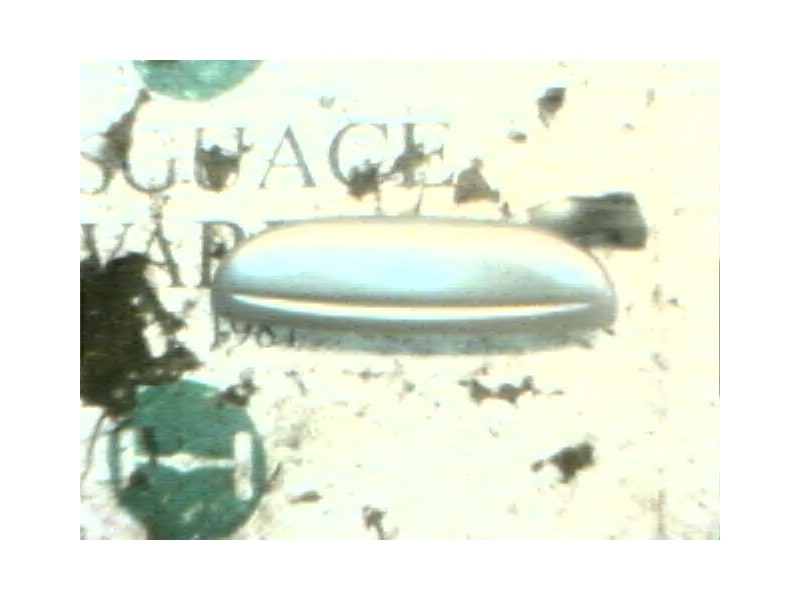 Recambio de maneta exterior trasera izquierda para fiat palio weekend (178) 1.2 cat referencia OEM IAM 719791099  