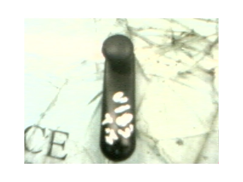 Recambio de maneta elevalunas trasera izquierda para fiat palio weekend (178) 1.2 cat referencia OEM IAM 100164435  