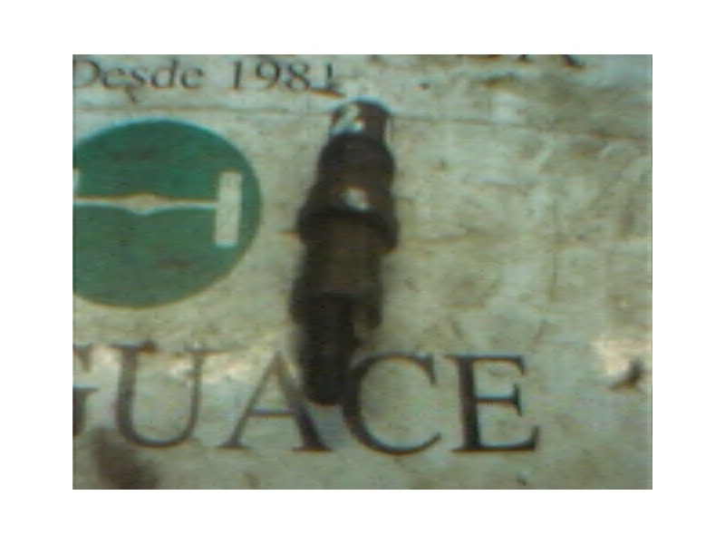 Recambio de inyector para seat ibiza (6k) clx referencia OEM IAM   