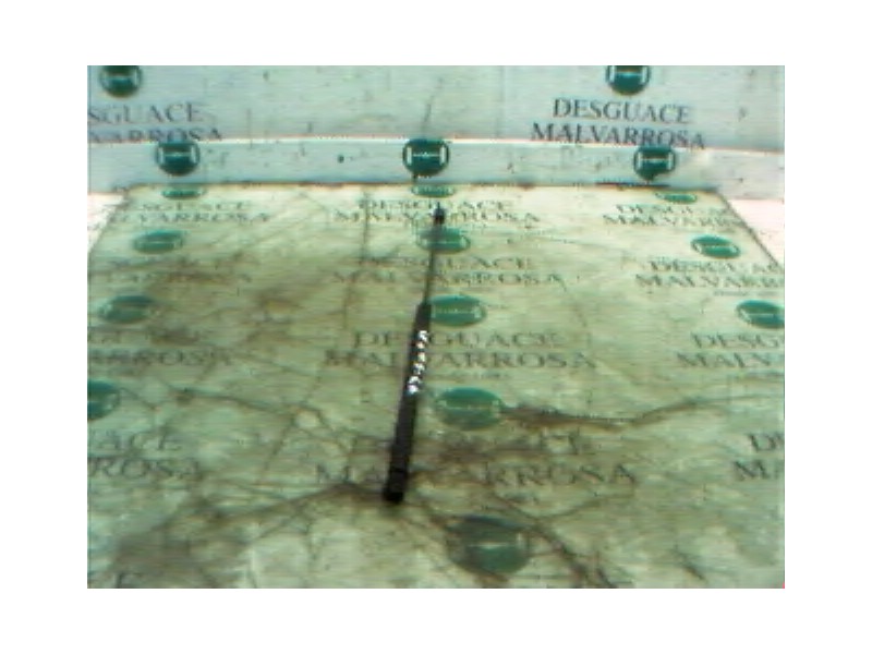 Recambio de amortiguadores maletero / porton para peugeot 106 (s1) 1.4 cat referencia OEM IAM   