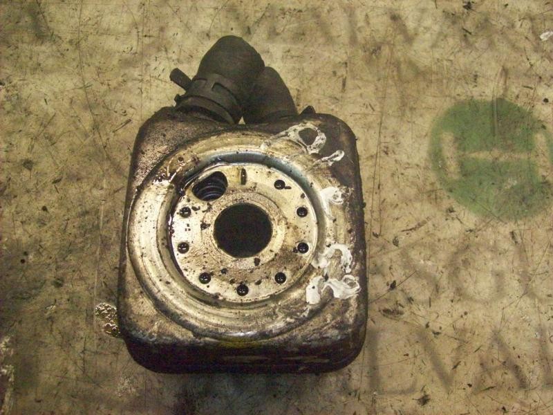 Recambio de enfriador aceite motor para seat ibiza (6k1) 1.9 sdi referencia OEM IAM   