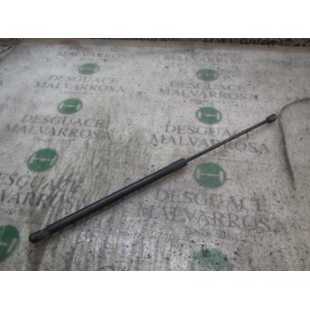 AMORTIGUADORES MALETERO / PORTON 