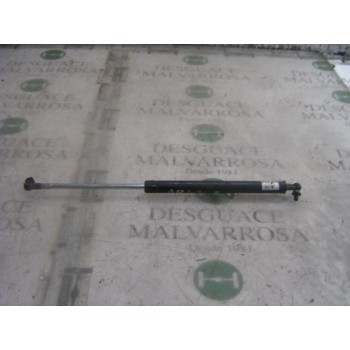 AMORTIGUADORES MALETERO / PORTON 