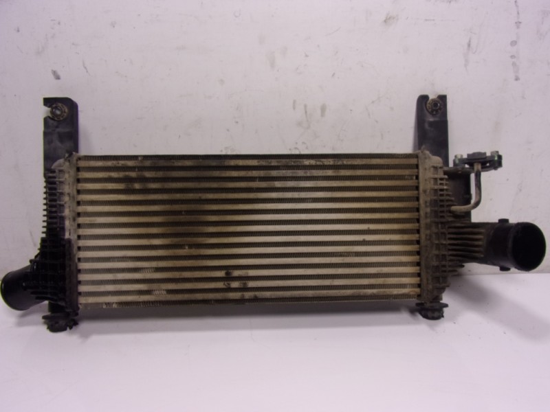 Recambio de intercooler para nissan navara pick-up (d40m) 2.5 dci cat referencia OEM IAM 144615X00A 144615X00A 