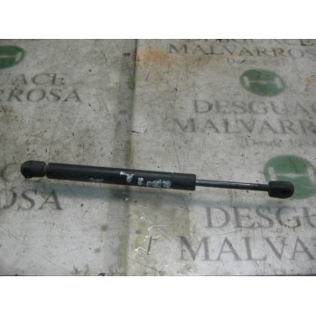 AMORTIGUADORES MALETERO / PORTON 