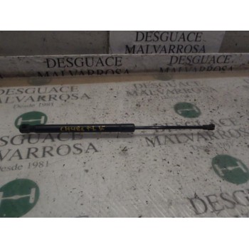 AMORTIGUADORES MALETERO / PORTON 51247060622 