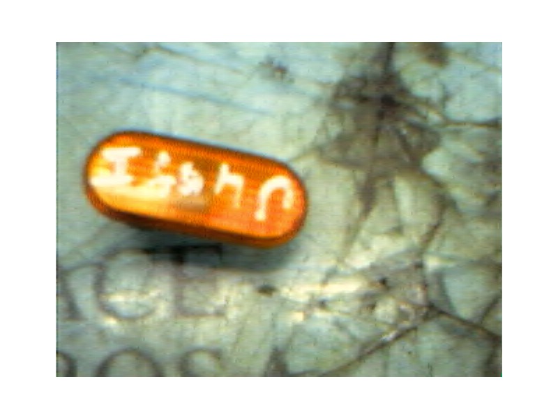 Recambio de piloto lateral izquierdo para seat ibiza (6k) glx referencia OEM IAM   