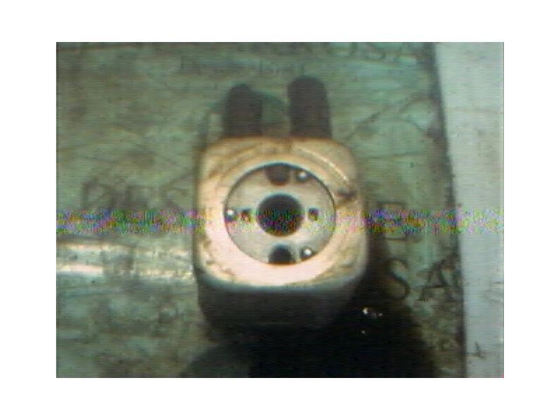 Recambio de enfriador aceite motor para volkswagen golf iv berlina (1j1) 1.9 tdi referencia OEM IAM   