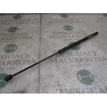 AMORTIGUADORES MALETERO / PORTON 