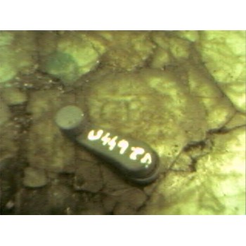 MANETA ELEVALUNAS TRASERA DERECHA 