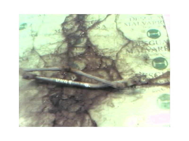 Recambio de articulacion limpia delantero para skoda fabia (6y2/6y3) classic referencia OEM IAM   