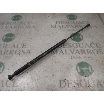 AMORTIGUADORES MALETERO / PORTON 