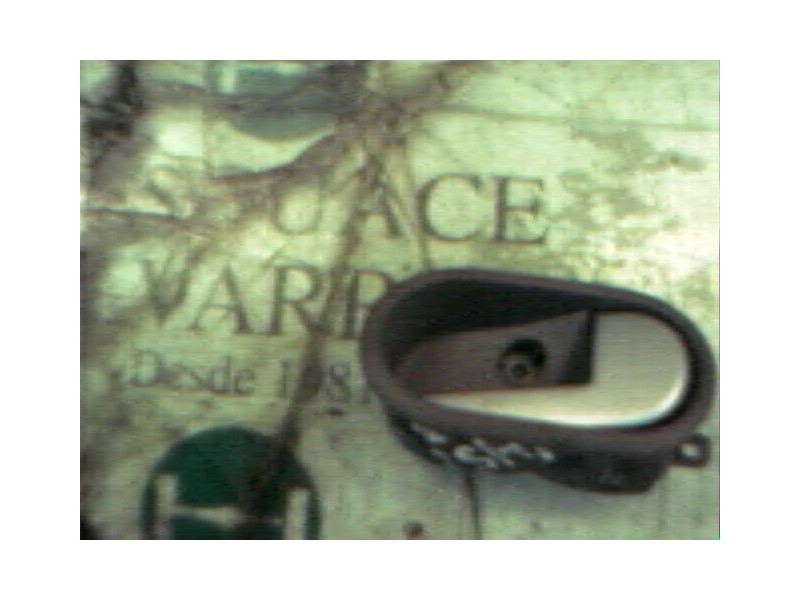 Recambio de maneta interior trasera derecha para ford fusion (cbk) newport referencia OEM IAM   