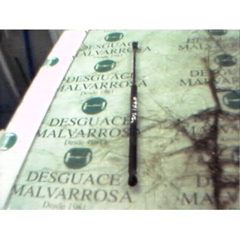 AMORTIGUADORES MALETERO / PORTON 