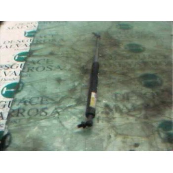 AMORTIGUADORES MALETERO / PORTON 