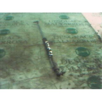 AMORTIGUADORES MALETERO / PORTON 