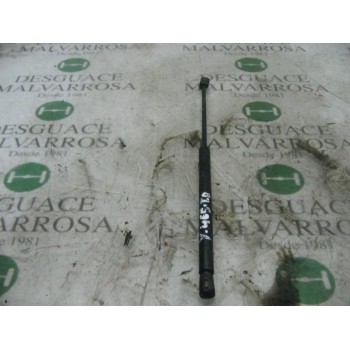 AMORTIGUADORES MALETERO / PORTON 