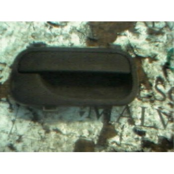 MANETA EXTERIOR DELANTERA DERECHA 