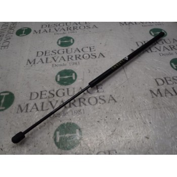 AMORTIGUADORES MALETERO / PORTON 