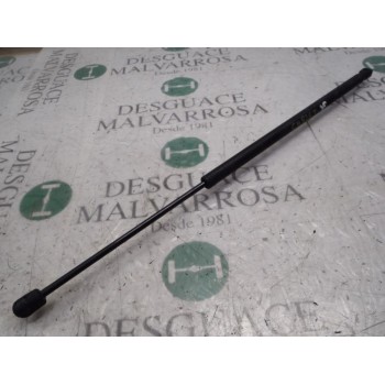 AMORTIGUADORES MALETERO / PORTON 