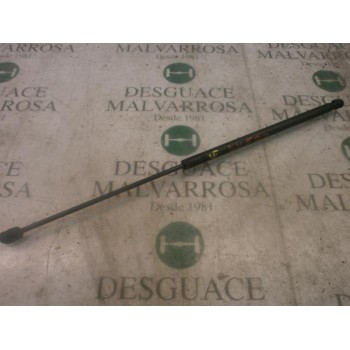 AMORTIGUADORES MALETERO / PORTON 