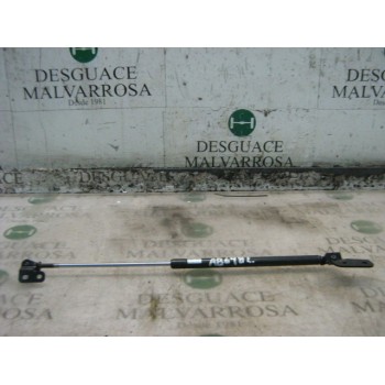 AMORTIGUADORES MALETERO / PORTON 