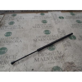 AMORTIGUADORES MALETERO / PORTON 