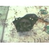 Recambio de bomba agua para peugeot 306 berlina 3/5 puertas (s1) referencia OEM IAM   