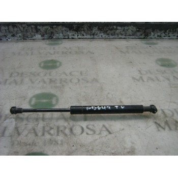 AMORTIGUADORES MALETERO / PORTON 