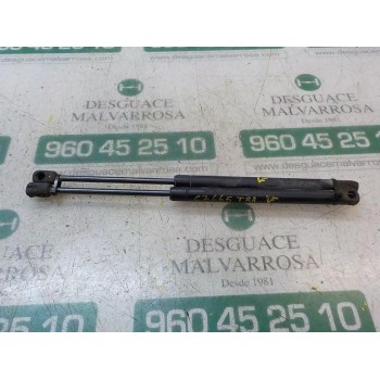 AMORTIGUADORES MALETERO / PORTON 