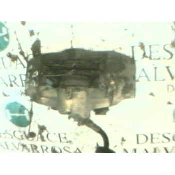 PINZA FRENO DELANTERA IZQUIERDA 